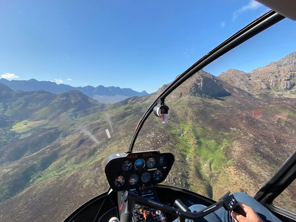 d82c03_25ce75d2f25d4314bc12996a24d444f9~mv2