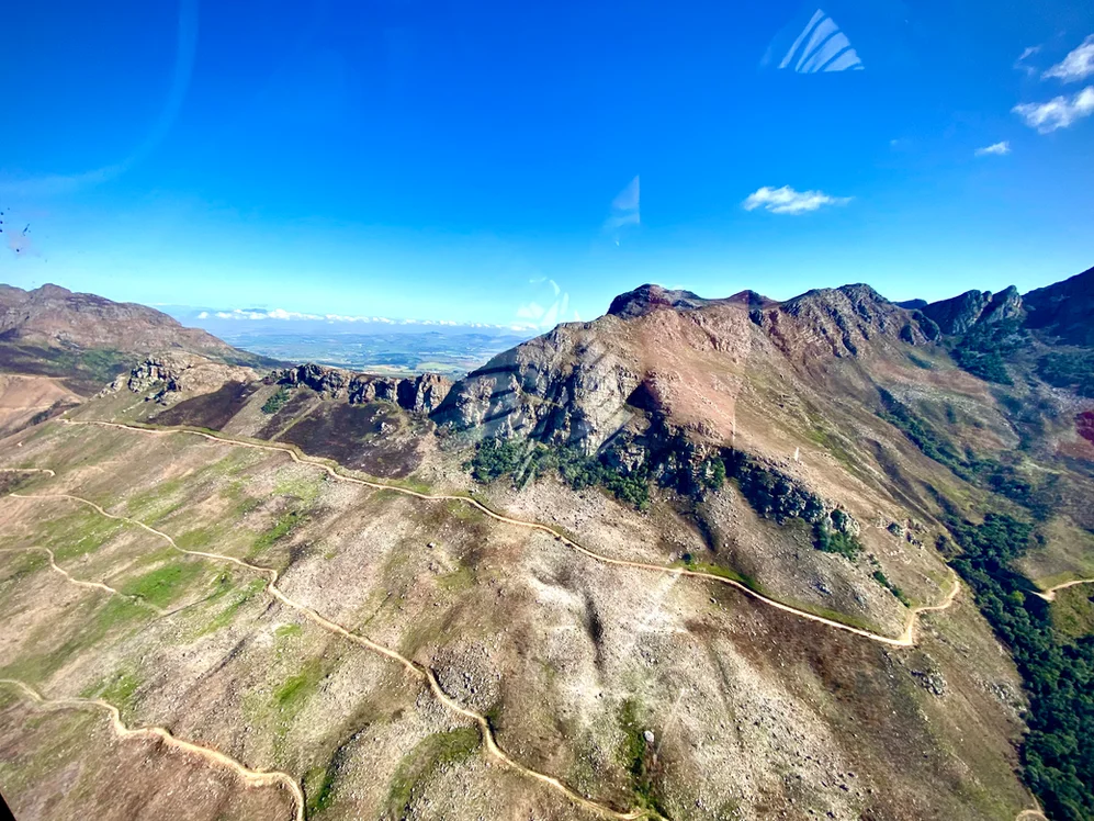 d82c03_c4cbba118e254bedb578e65e310a9647~mv2