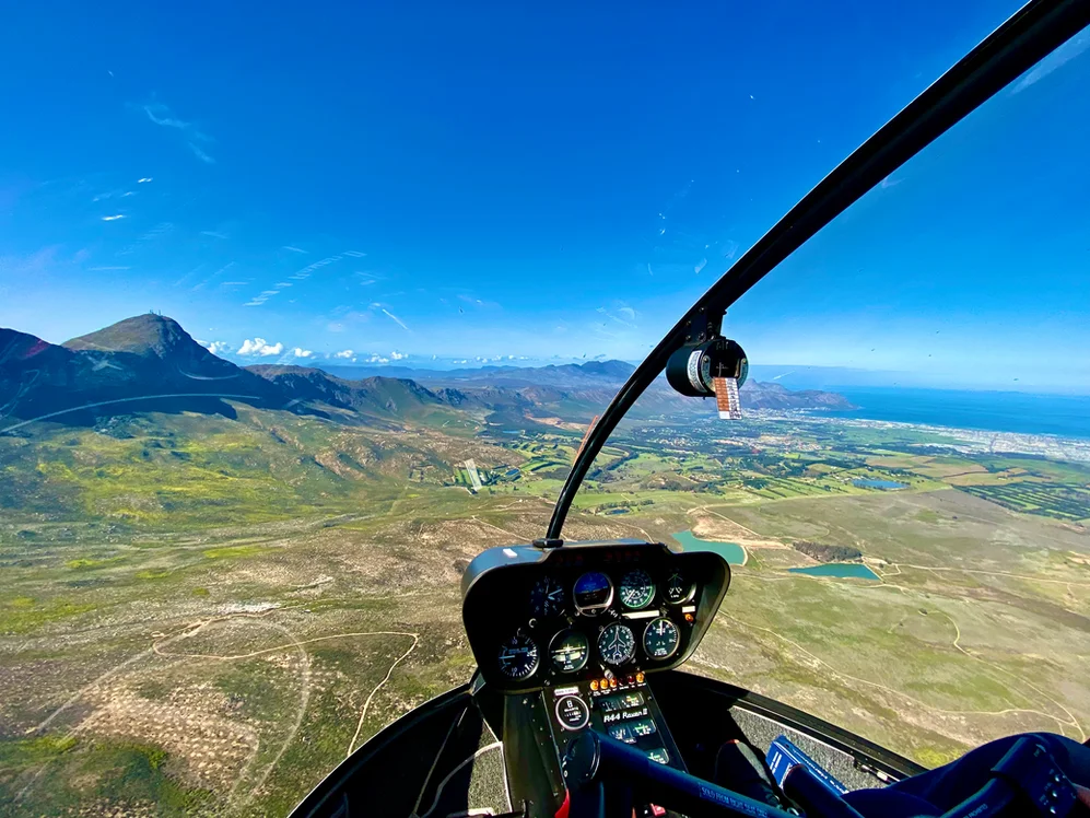 d82c03_d373e7331ab4462abf533e39a9dea997~mv2