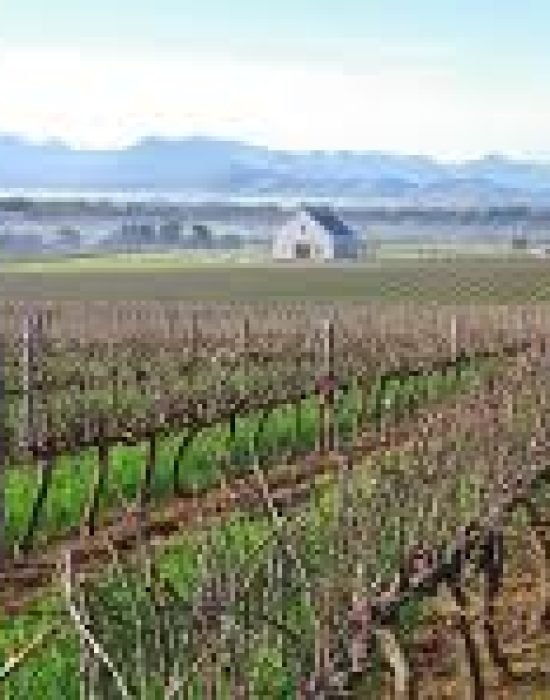 winelands